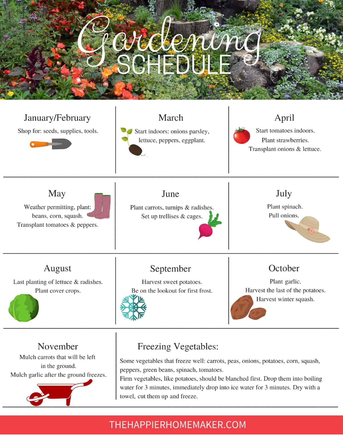 Month by Month Gardening in Georgia: A Complete Guide