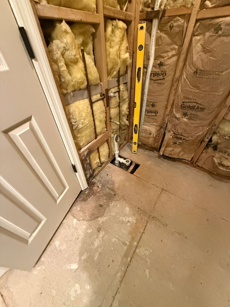 bathroom demoed to the studs