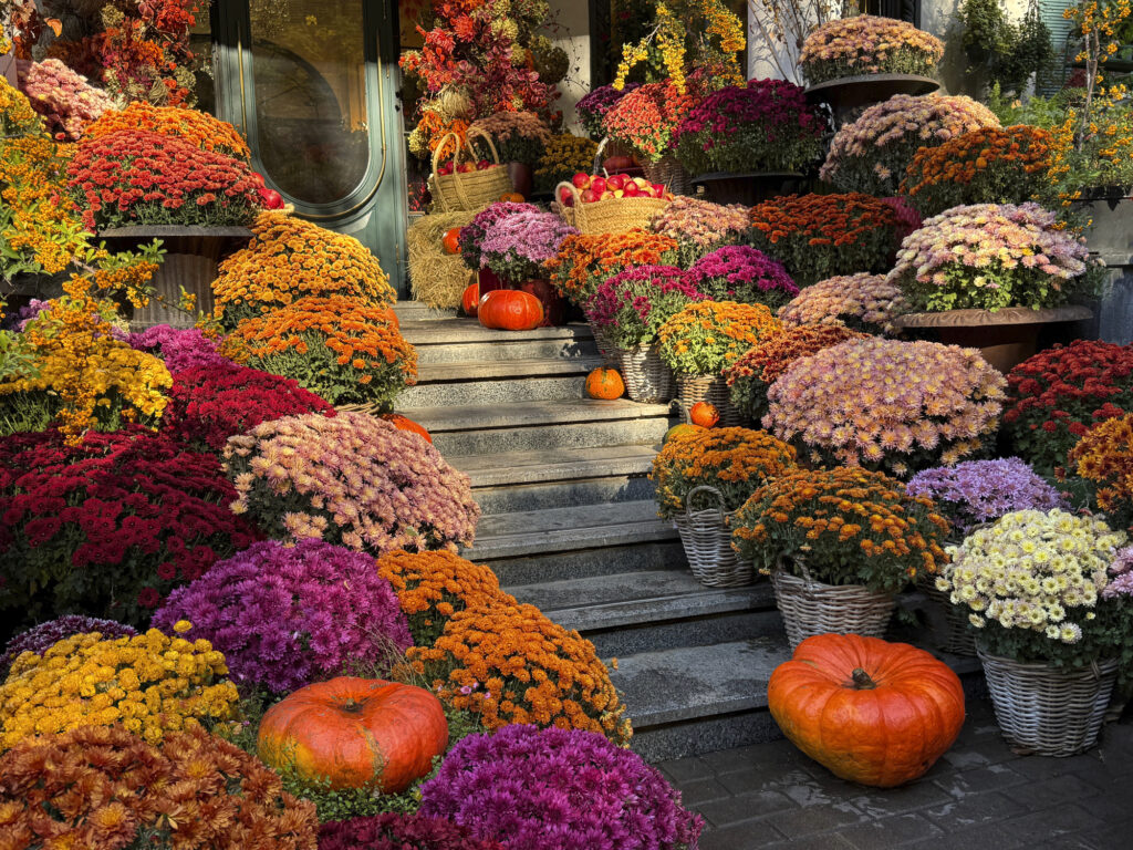porch with a lot of fall mums
